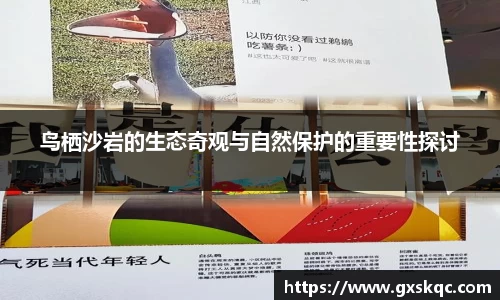 鸟栖沙岩的生态奇观与自然保护的重要性探讨